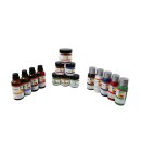 Farben-Komplettset 6x10g Pigment 4x40ml Konzentrat 5x50g...