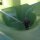 GFK Teichset Polyester bis 20 m²  in RAL 5015 himmelblau