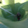 GFK Teichset Polyester bis 100 m² inkl. Deckschichtharz in RAL 5015 himmelblau