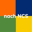 Farbeinstellung nach NCS mit Bemusterung