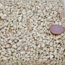 1 kg Marmorkiesel in der Farbe Bianco Verona 2 - 4 mm